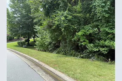 533 Bear Tree Creek, Chapel Hill, NC 27517 - Photo 32