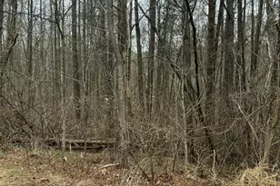 89 Lot Haynoke Dr, Graham, NC 27253 - Photo 1