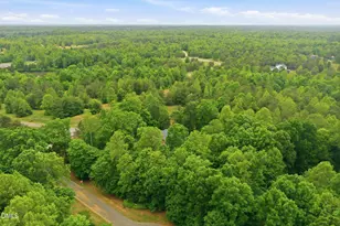 319 Triple Creek Dr, Efland, NC 27243 - Photo 54