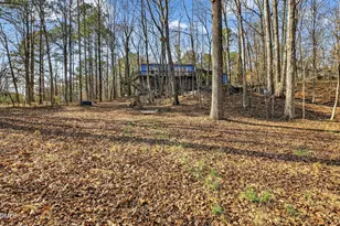 115 Felicia Ct, Clayton, NC 27520 - Photo 52