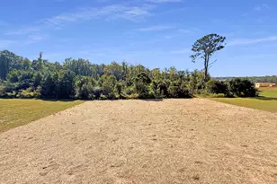219 Sweetfern Ln, Zebulon, NC 27597 - Photo 22
