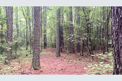 411 Auburn Lane, Pittsboro, NC 27312 - Photo 12