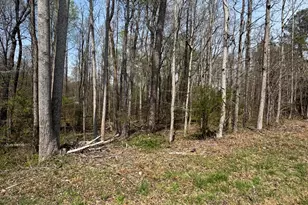 0 Hurdle Mills Rd, Roxboro, NC 27574 - Photo 1