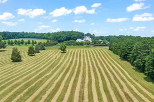 7505 New Sharon Church Rd, Rougemont, NC 27572 - Photo 100