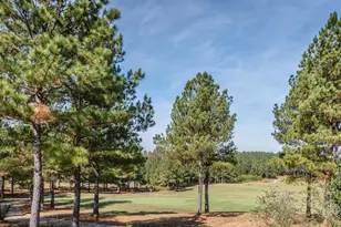 60 Willow Creek Ct, Pittsboro, NC 27312 - Photo 36