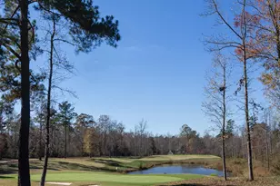60 Willow Creek Ct, Pittsboro, NC 27312 - Photo 38