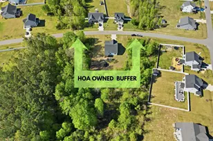 386 Howards Crossing Dr, Wendell, NC 27591 - Photo 26