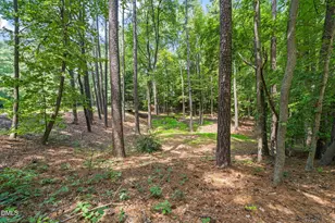 1401 Old Trinity Cir, Raleigh, NC 27607 - Photo 86