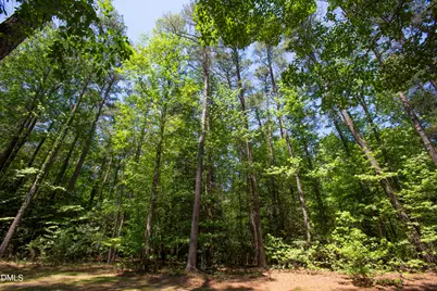 3005 Horse Shoe Farm Road, Wake Forest, NC 27587 - Photo 20
