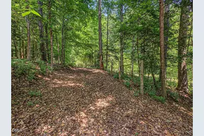 205 Anolis Drive, Pittsboro, NC 27312 - Photo 80