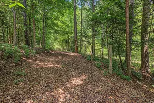 205 Anolis Dr, Pittsboro, NC 27312 - Photo 80