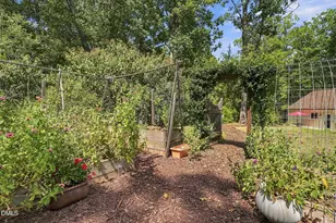 977 Windy Ridge Rd, Chapel Hill, NC 27517 - Photo 84
