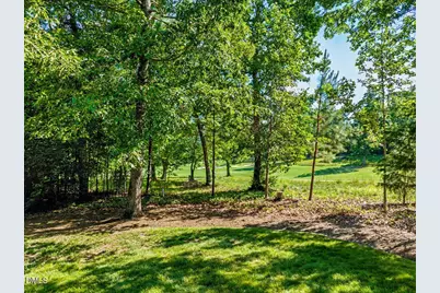 20 Brushwood Court, Pittsboro, NC 27312 - Photo 20