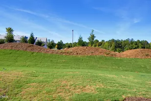 1056 Tea Rose Ct, Durham, NC 27703 - Photo 24