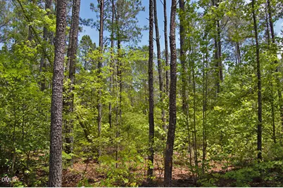 N G F Ball Road, Louisburg, NC 27549 - Photo 4
