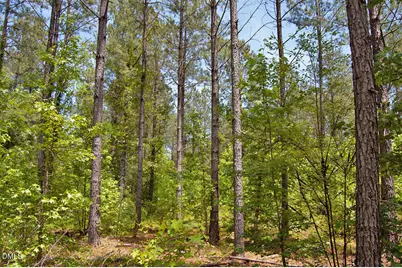 N G F Ball Road, Louisburg, NC 27549 - Photo 1