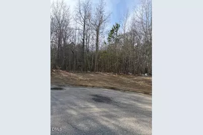 206 Hope Street, Erwin, NC 28339 - Photo 4
