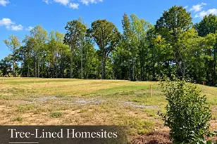 268 Oriole Dr, Angier, NC 27501 - Photo 4