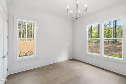 25 Blackhorn Court, Pittsboro, NC 27312 - Photo 62