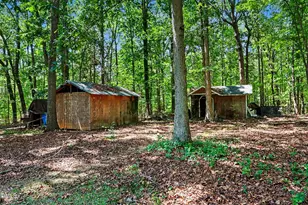 16109 New Light Rd, Wake Forest, NC 27587 - Photo 6