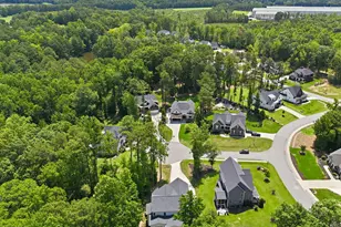 103 Blue Finch Ct, Youngsville, NC 27596 - Photo 54
