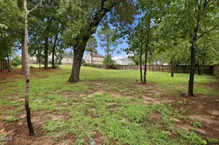 42 Sonora Dr, Lillington, NC 27546 - Photo 48