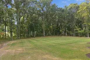 317 Black Caviar Wy, Raleigh, NC 27603 - Photo 46