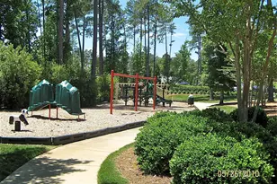 273 Brown Bear, Chapel Hill, NC 27517 - Photo 40