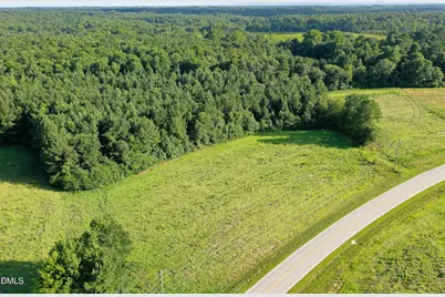 44.75 Acre Timberlake Road, Louisburg, NC 27549 - Photo 22