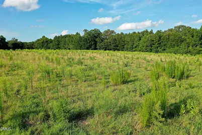 44.75 Acre Timberlake Road, Louisburg, NC 27549 - Photo 26