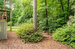6604 Willow Chase Dr, Willow Springs, NC 27592 - Photo 52