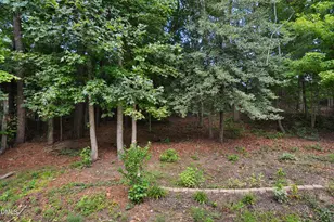 6901 River Birch Dr, Raleigh, NC 27613 - Photo 22