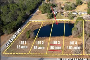 212 Willie Cameron Rd, Lillington, NC 27546 - Photo 1