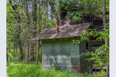 201 Briggs Road, Hurdle Mills, NC 27541 - Photo 42