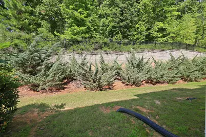 409 Great Eno Path, Hillsborough, NC 27278 - Photo 42