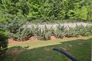 409 Great Eno Path, Hillsborough, NC 27278 - Photo 42