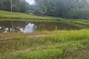 419 Snow Hill Rd, Warrenton, NC 27589 - Photo 20
