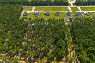 152 N Josey Williams Rd, Erwin, NC 28339 - Photo 38