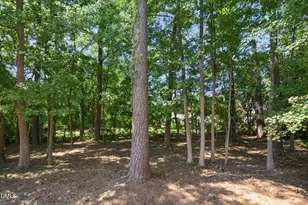 2334 School Creek Pl, Raleigh, NC 27606 - Photo 36