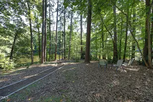 10 Ellen Pl, Chapel Hill, NC 27514 - Photo 50