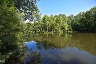 10 Ellen Pl, Chapel Hill, NC 27514 - Photo 46