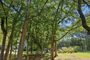 101 Thomas Ln, Carrboro, NC 27510 - Photo 26