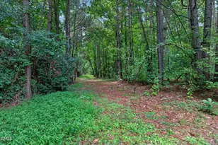 2405 Brasstown Ln, Apex, NC 27502 - Photo 46