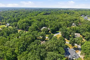 45 Lance Ln, Youngsville, NC 27596 - Photo 46
