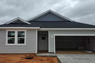 475 Purple Aster St, Youngsville, NC 27596 - Photo 1