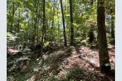 0 Green Lane, Clayton, NC 27520 - Photo 14