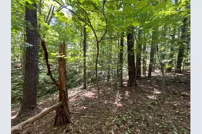 0 Green Lane, Clayton, NC 27520 - Photo 8