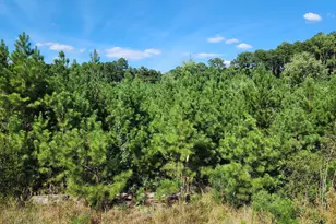 0 Ten Ten Rd, Apex, NC 27539 - Photo 1