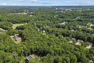 209 Porcino Ln, Holly Springs, NC 27540 - Photo 56