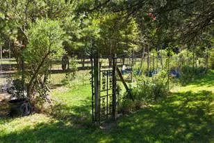 2220 New Sharon Church Rd, Hillsborough, NC 27278 - Photo 6
